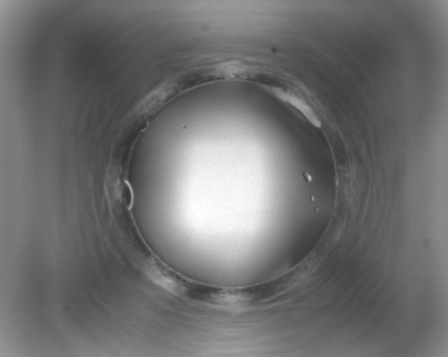 X0000081610313200701291434