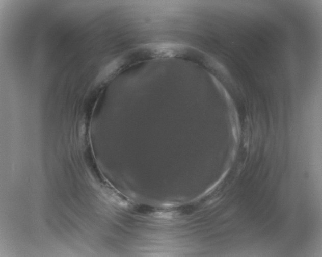 X0000081610314200701291434