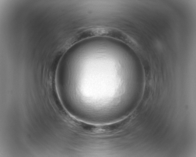 X0000081610315200701291434