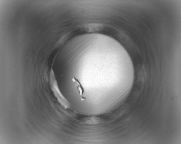 X0000081610316200701291434