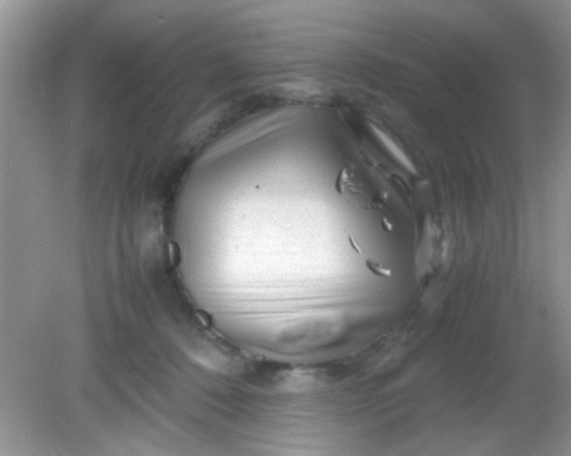 X0000081610320200701291434