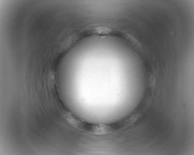 X0000081610321200701291434