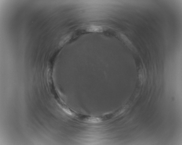 X0000081610322200701291434