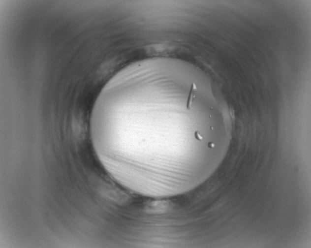 X0000081610324200701291434