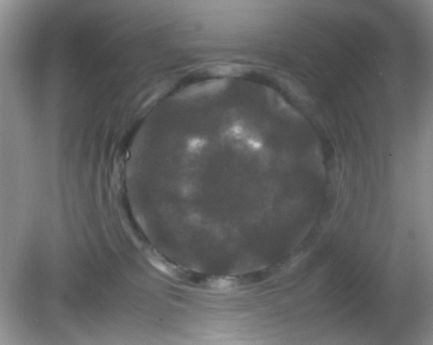 X0000081610325200701291434