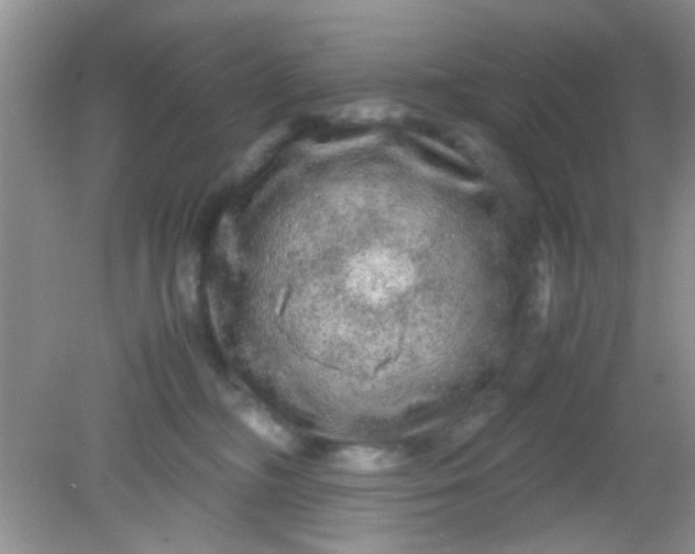 X0000081610326200701291434