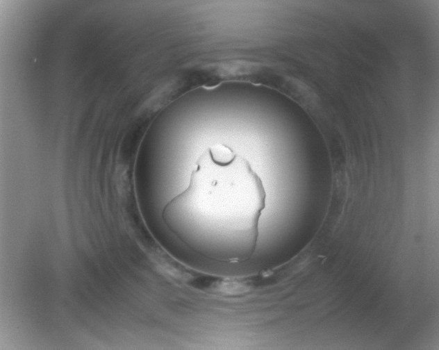 X0000081610327200701291434