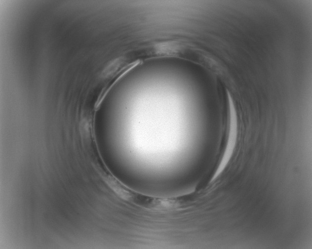 X0000081610329200701291433