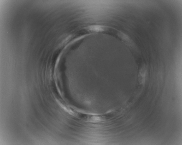 X0000081610330200701291433