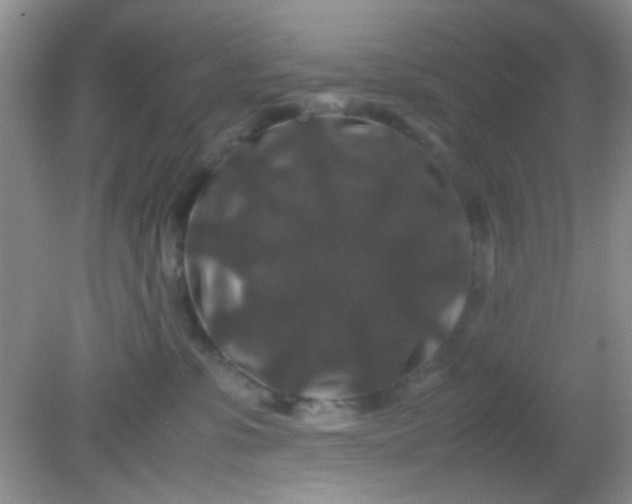 X0000081610331200701291433