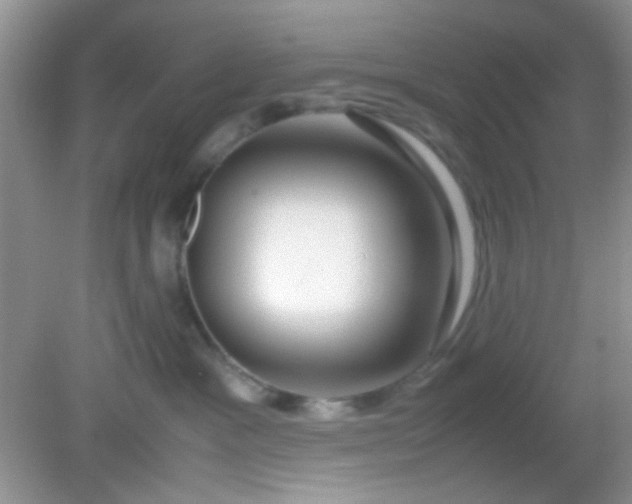 X0000081610333200701291433