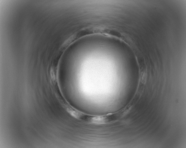 X0000081610335200701291433