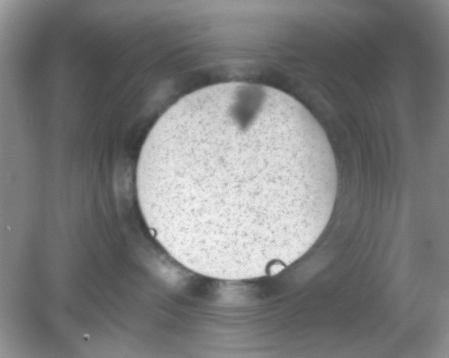 X0000081610336200701291433