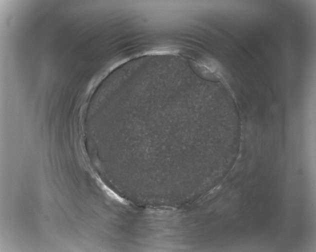 X0000081610337200701291433