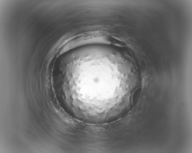 X0000081610339200701291433