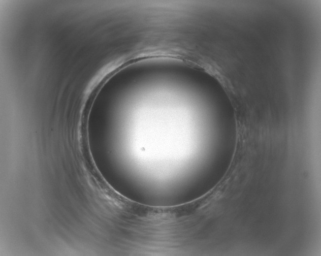 X0000081610340200701291433