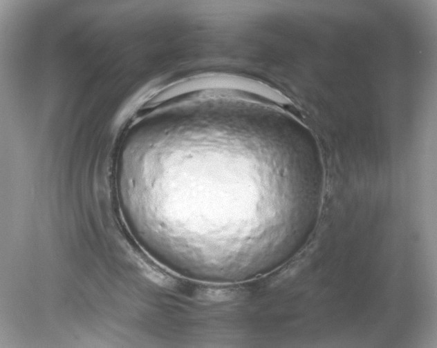 X0000081610341200701291433