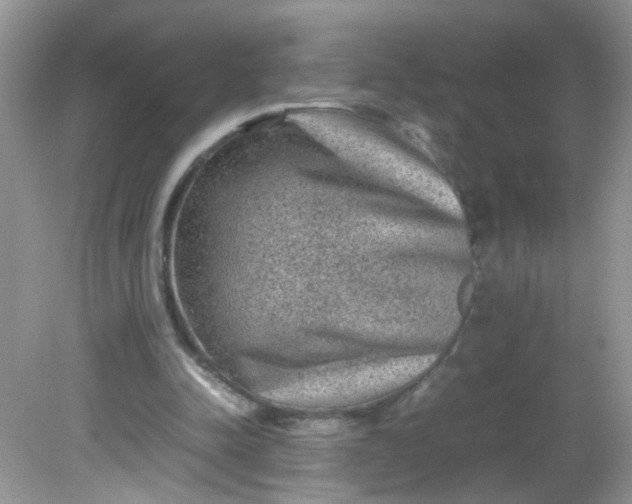 X0000081610342200701291433