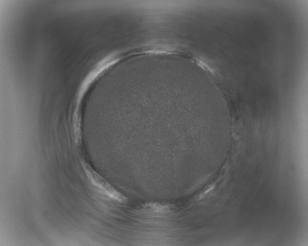 X0000081610343200701291433