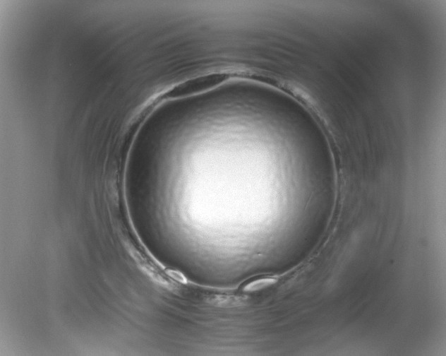 X0000081610345200701291433