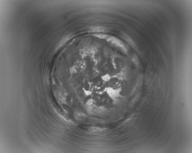 X0000081610347200701291433