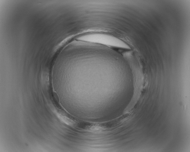 X0000081610348200701291433