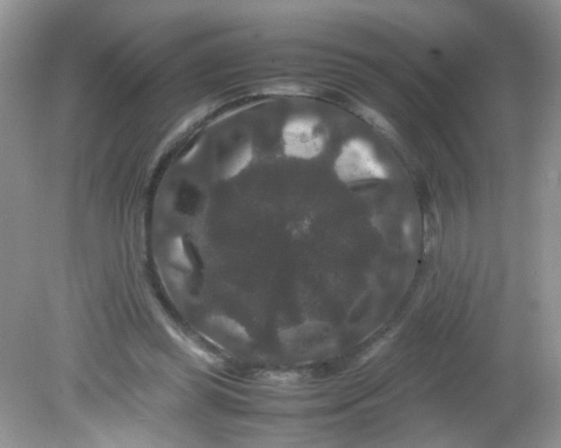 X0000081610349200701291433