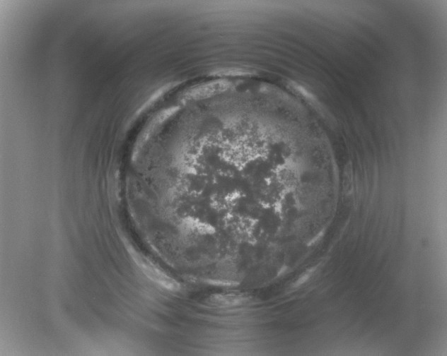 X0000081610351200701291433