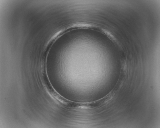 X0000081610352200701291433