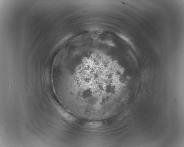 X0000081610353200701291433