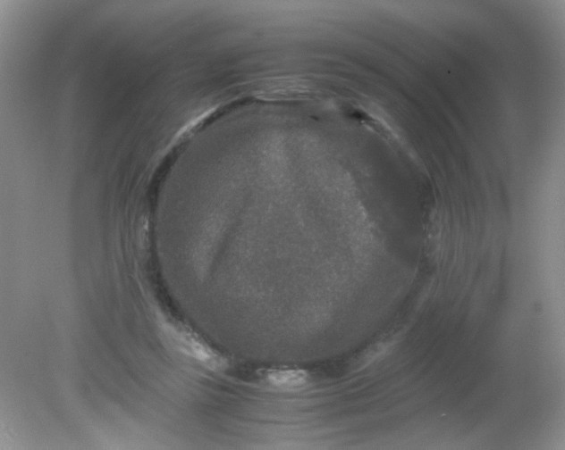 X0000081610355200701291433