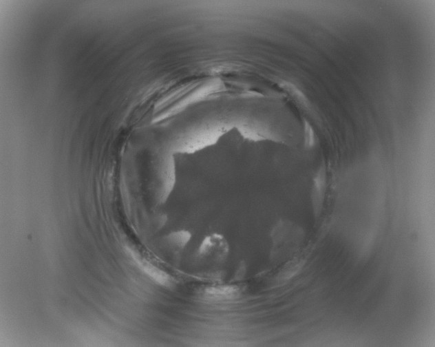 X0000081610357200701291433