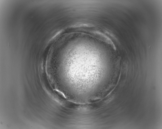 X0000081610358200701291433