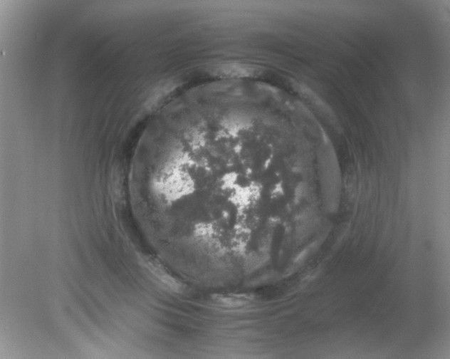 X0000081610359200701291433