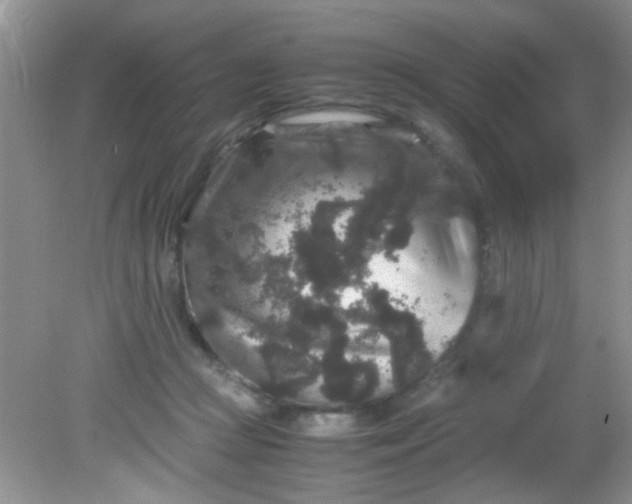 X0000081610361200701291433