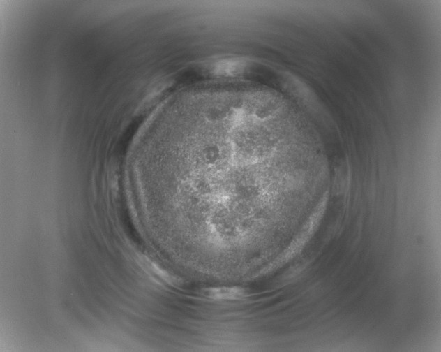 X0000081610363200701291433