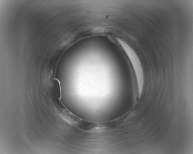 X0000081610364200701291433