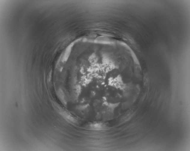 X0000081610365200701291433