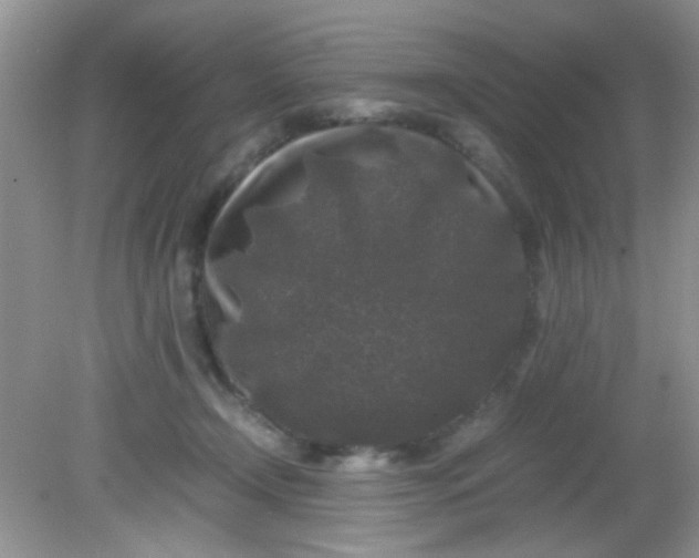 X0000081610366200701291433