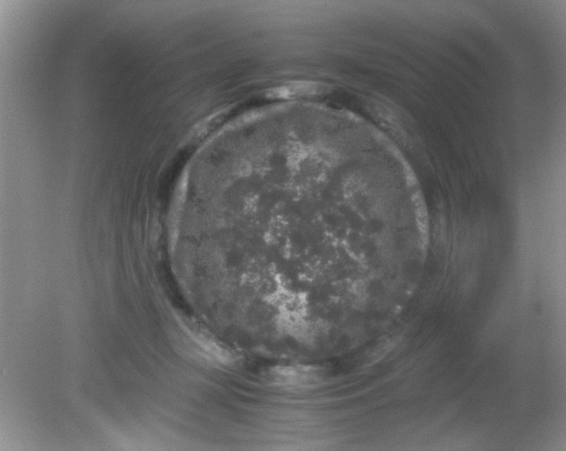 X0000081610367200701291433