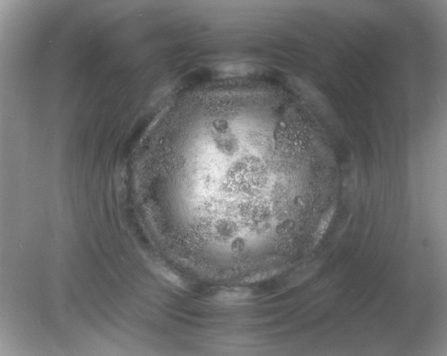 X0000081610369200701291433