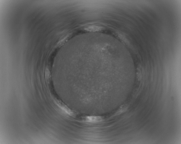 X0000081610371200701291433