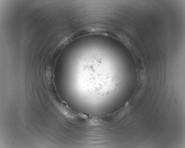 X0000081610372200701291433