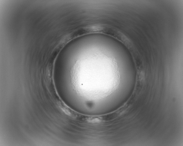 X0000081610373200701291433