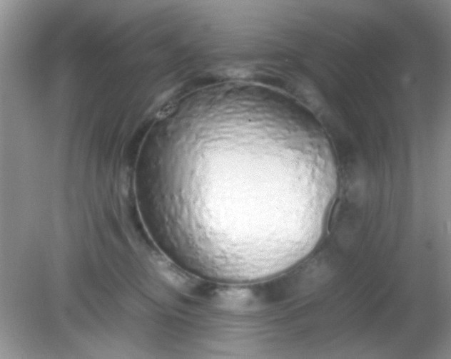 X0000081610374200701291433