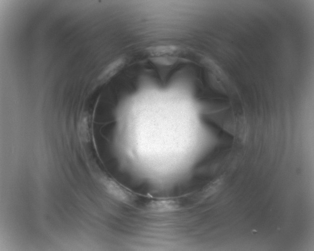 X0000081610378200701291433