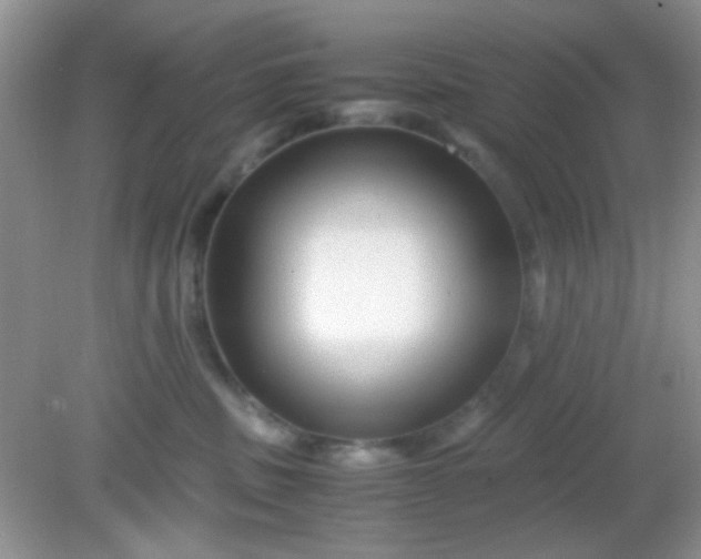 X0000081610379200701291433