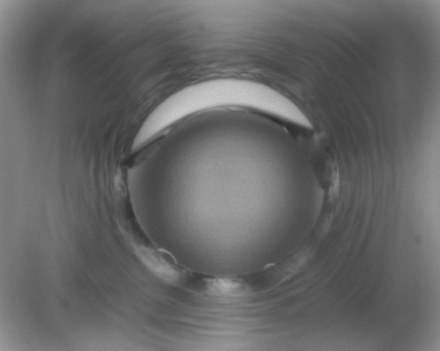 X0000081610380200701291433