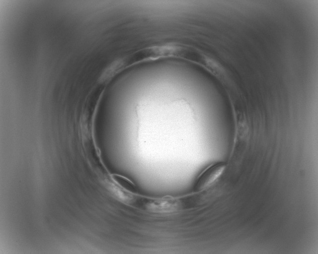 X0000081610381200701291433