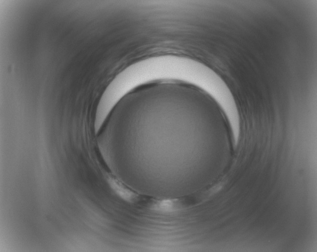 X0000081610382200701291433